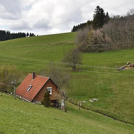 In Black Forest Near Slopes