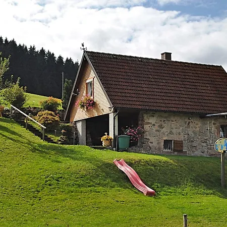 In Black Forest Near Slopes Sankt Georgen im Schwarzwald