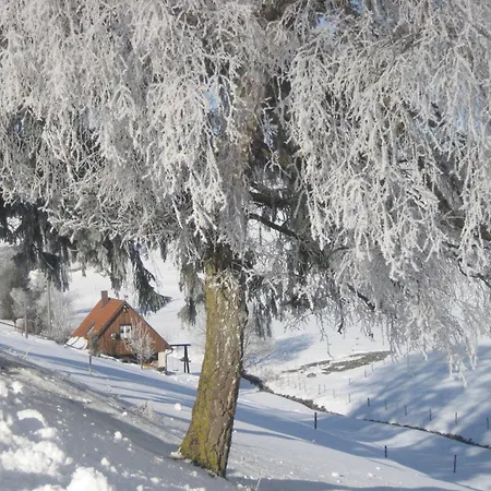 Holiday home In Black Forest Near Slopes