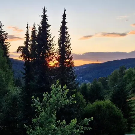 In Black Forest Near Slopes * Sankt Georgen im Schwarzwald