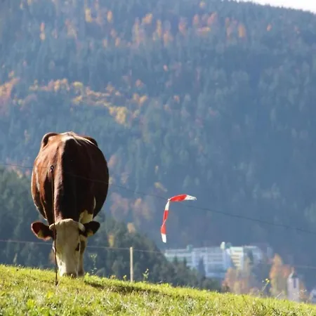 Holiday home In Black Forest Near Slopes *