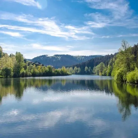 In Black Forest Near Slopes *