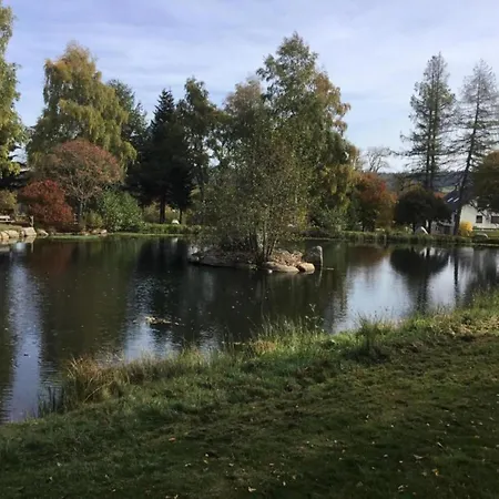 In Black Forest Near Slopes