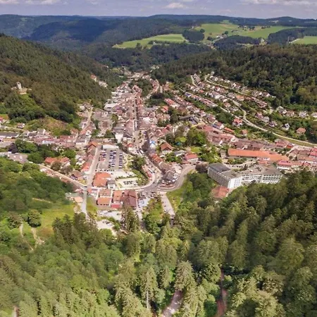 In Black Forest Near Slopes Holiday home Sankt Georgen im Schwarzwald