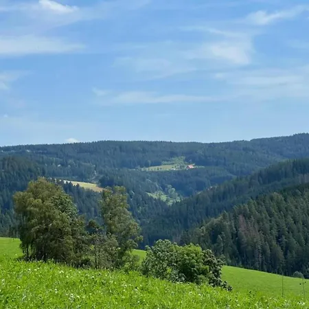 In Black Forest Near Slopes *