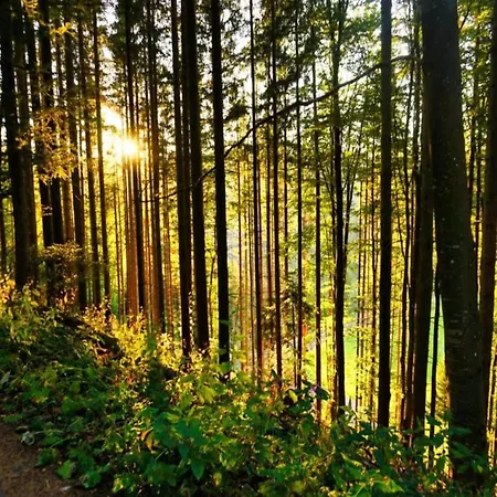In Brigach Vakantiehuis St. Georgen im Schwarzwald