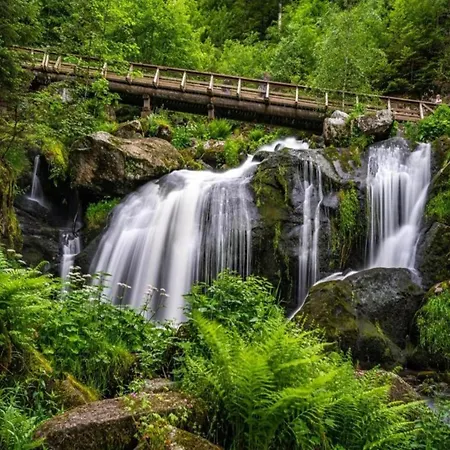 In Brigach St. Georgen im Schwarzwald