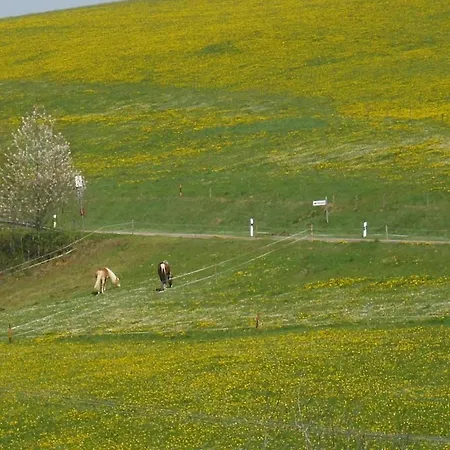 In Black Forest Near Slopes Holiday home Sankt Georgen im Schwarzwald