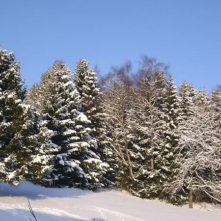 In Black Forest Near Slopes Sankt Georgen im Schwarzwald