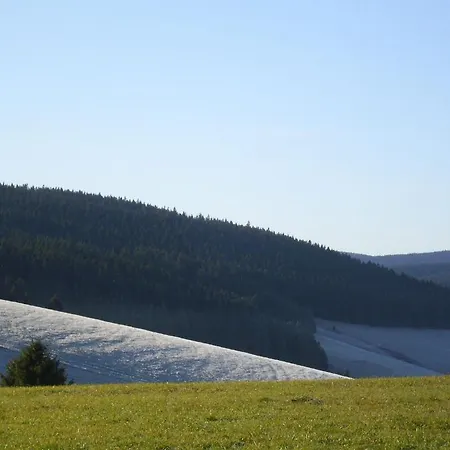 In Black Forest Near Slopes Holiday home