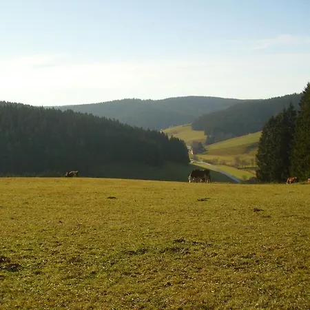 Holiday home In Black Forest Near Slopes *