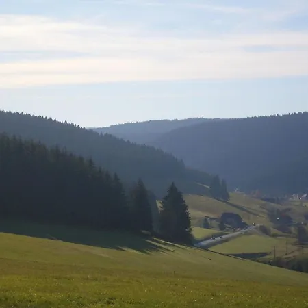 In Black Forest Near Slopes *